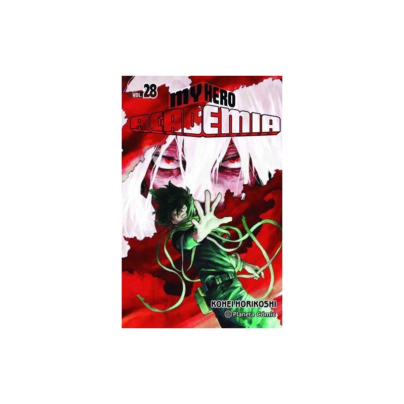My Hero Academia 28