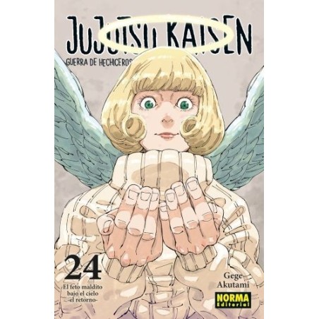 Jujutsu Kaisen 24