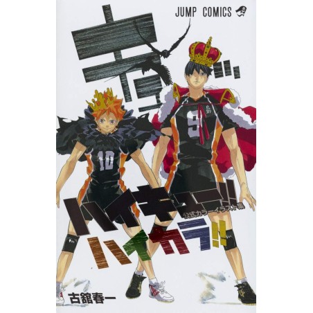Haikyuu color illustration (JAP)