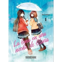 La luna en una noche de lluvia 1