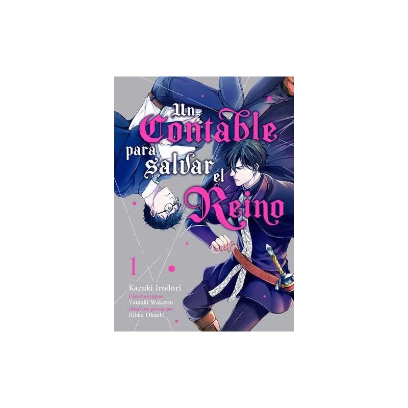 Un contable para salvar al reino 1