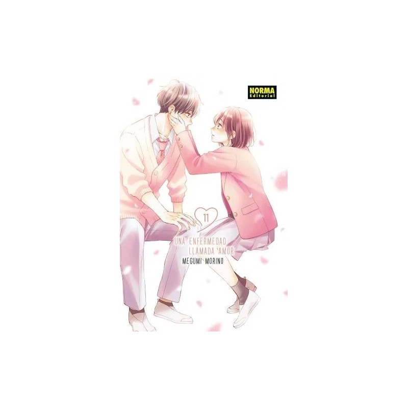 Una enfermedad llamada amor 11