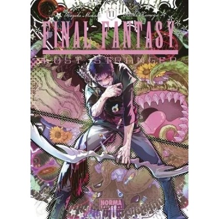 Final Fantasy Lost Stranger 11