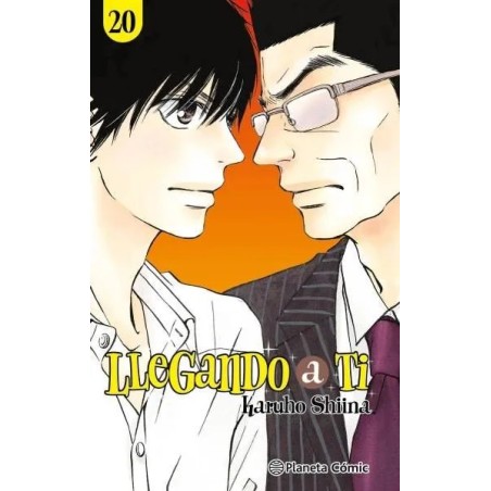 Llegando a ti 20