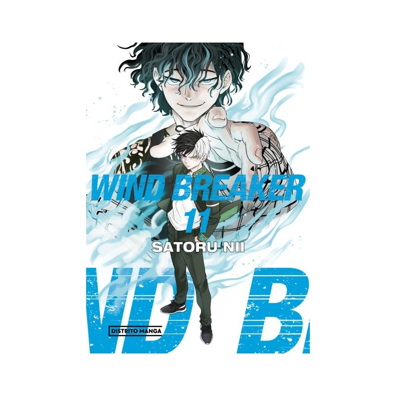 Wind Breaker 11