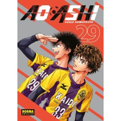 Ao Ashi 29