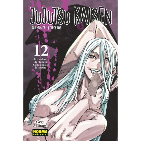 Jujutsu Kaisen 12