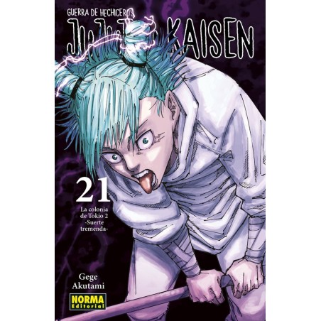 Jujutsu Kaisen 21
