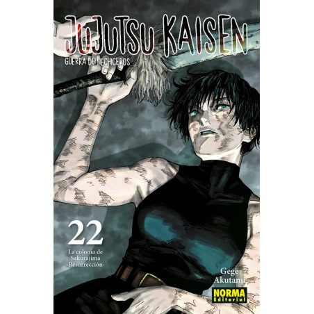 Jujutsu Kaisen 22