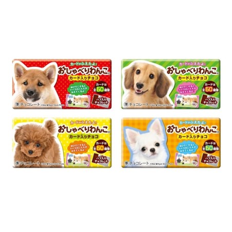 Chocolatina Shoei Inu + carta de perrito coleccionable (1 UNIDAD)