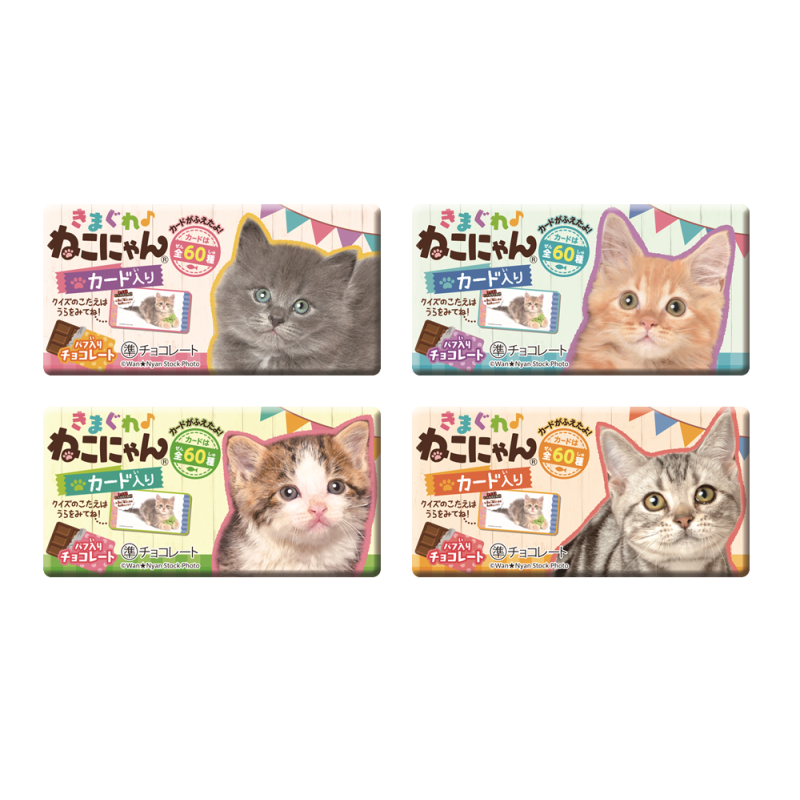 Chocolatina Shoei Neko + carta de gatito coleccionable (1 UNIDAD)