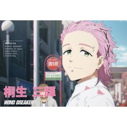 Wind Breaker libro de postales de la temporada 1 del anime (JAP)