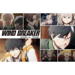 Wind Breaker libro de postales de la temporada 1 del anime (JAP)
