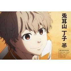 Wind Breaker libro de postales de la temporada 1 del anime (JAP)