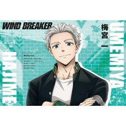 Wind Breaker libro de postales de la temporada 1 del anime (JAP)