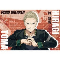 Wind Breaker libro de postales de la temporada 1 del anime (JAP)