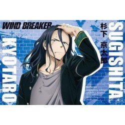 Wind Breaker libro de postales de la temporada 1 del anime (JAP)