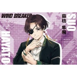 Wind Breaker libro de postales de la temporada 1 del anime (JAP)