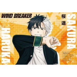 Wind Breaker libro de postales de la temporada 1 del anime (JAP)
