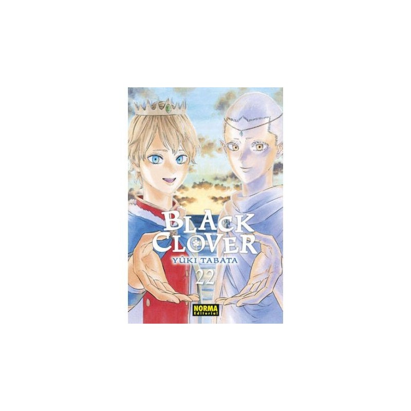 Black Clover 22