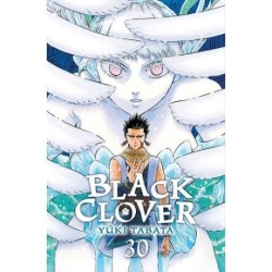 Black Clover 30