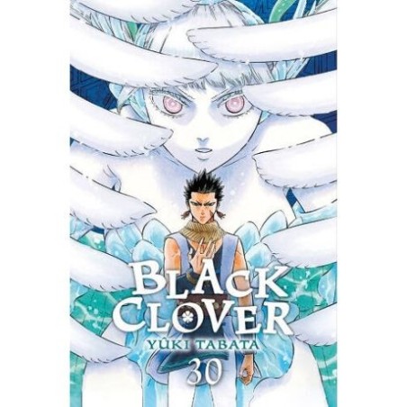Black Clover 30