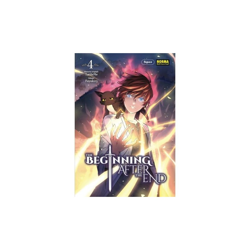 The Beginning after the end 4