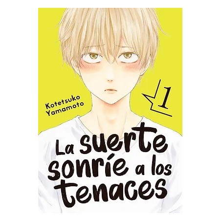 La suerte sonríe a los tenaces 1