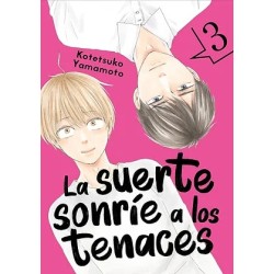 La suerte sonríe a los tenaces 3