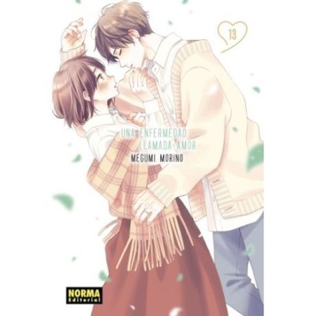 Una enfermedad llamada amor 13