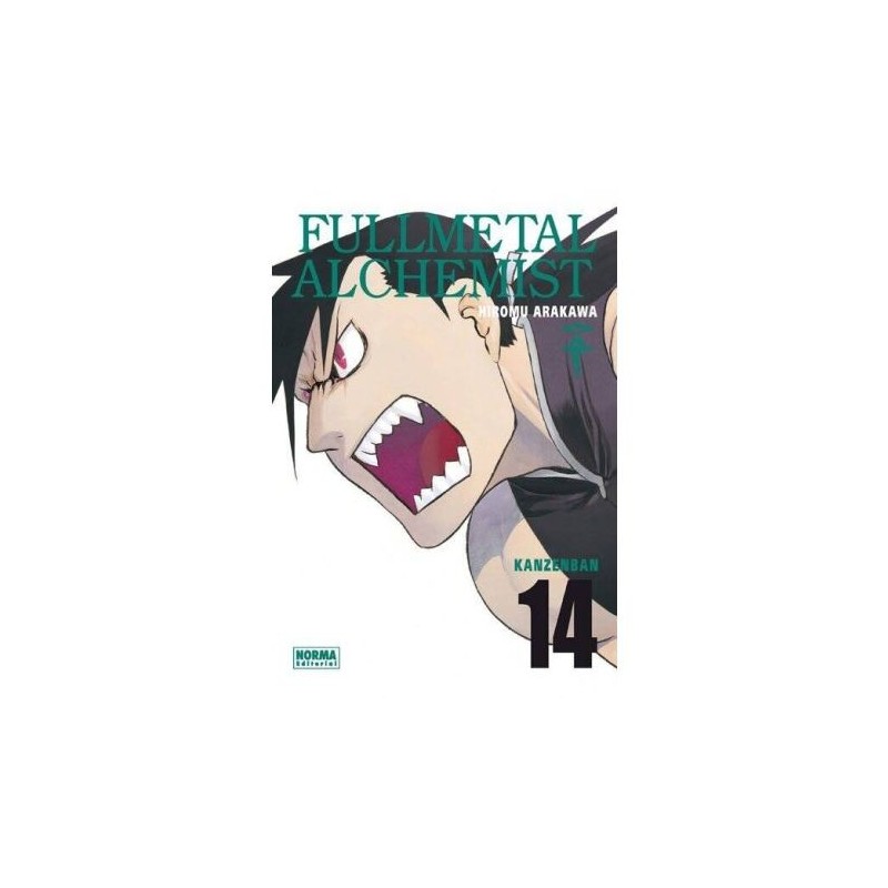 Fullmetal Alchemist 14