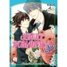 Junjo Romantica 20