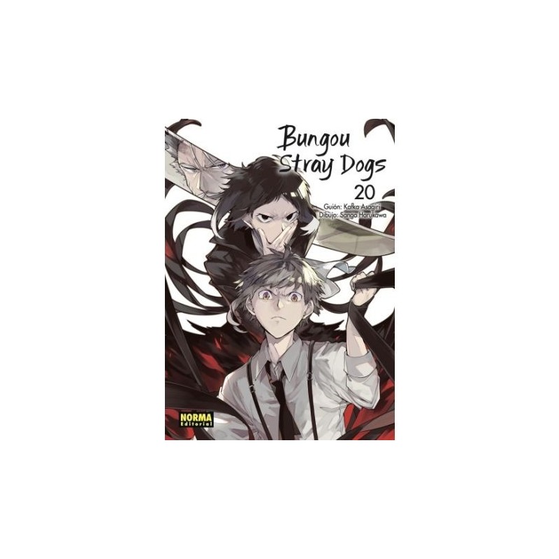 Bungou Stray Dogs 20