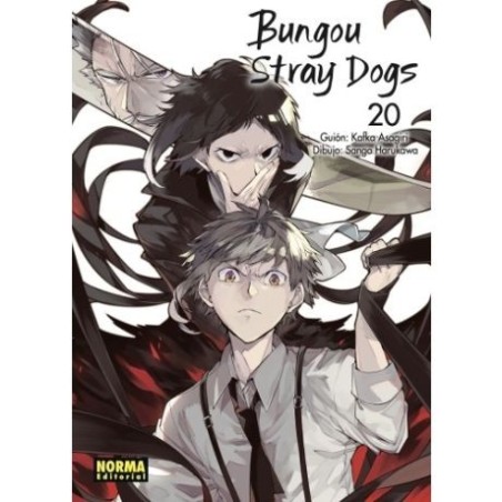 Bungou Stray Dogs 20