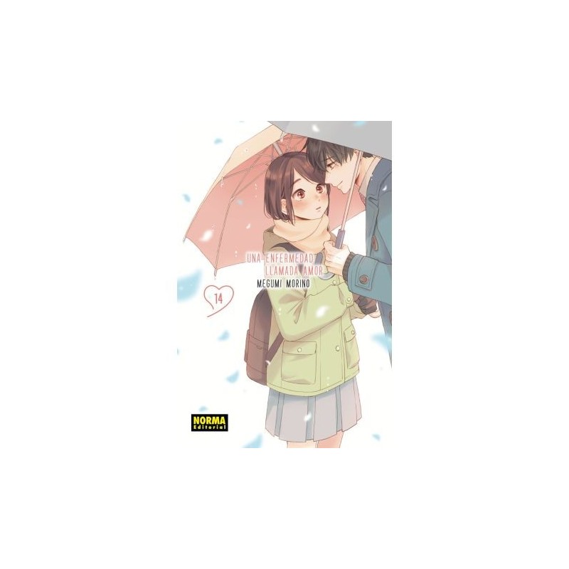 Una enfermedad llamada amor 14