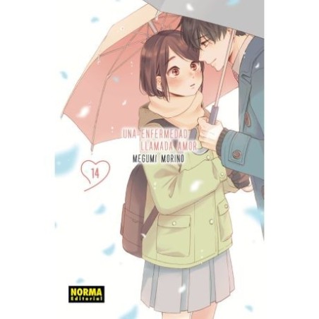 Una enfermedad llamada amor 14