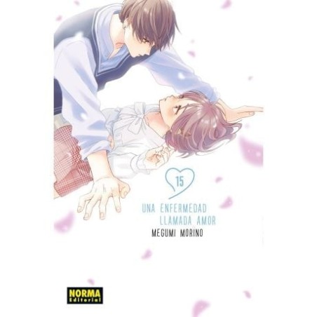Una enfermedad llamada amor 15