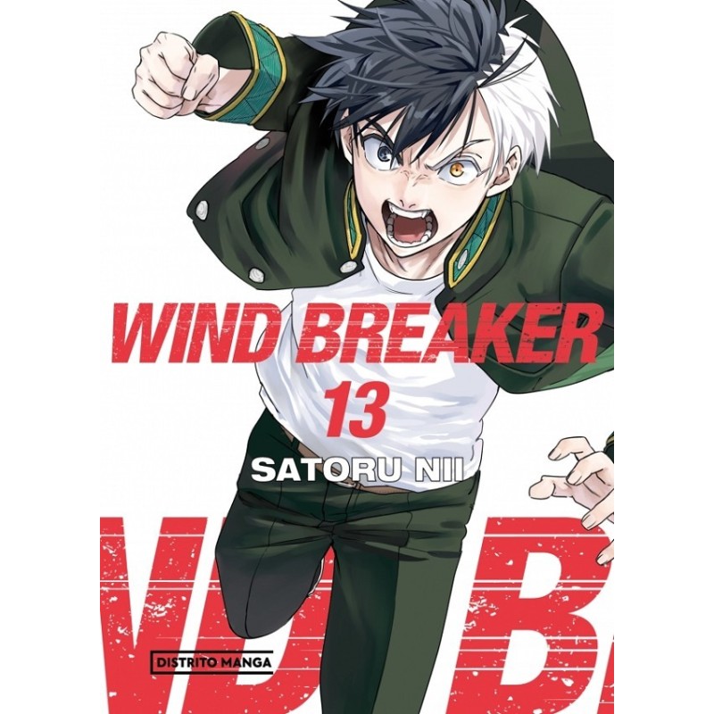 Wind Breaker 13