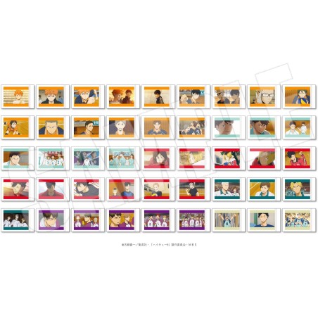 Haikyuu!! : Pashakore Instant Photo