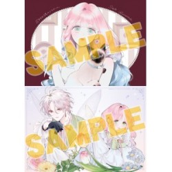 Hana Himeru Kimi no Meteor vol.5 edición japonesa con acrílico + extras (JAP)