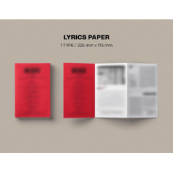 Stray Kids - Mini Album [MAXIDENT] (CASE Ver.) Han version