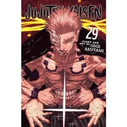 Jujutsu Kaisen 29