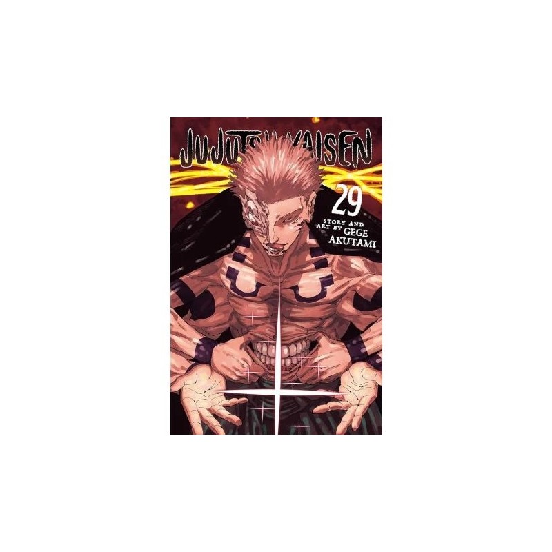 Jujutsu Kaisen 29
