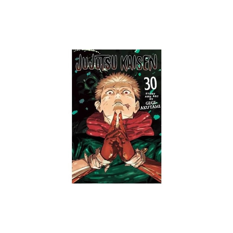 Jujutsu Kaisen 30