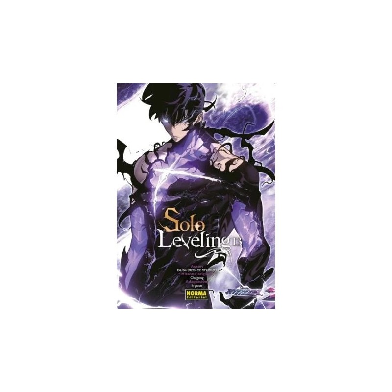 Solo Leveling 13