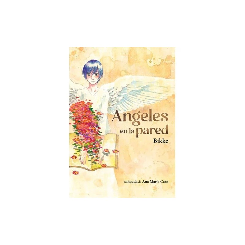 Ángeles en la pared