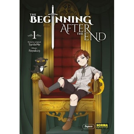 The Beginning after the end 1