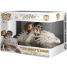 Funko Pop Harry Potter Ukranian Ironbelly (93)